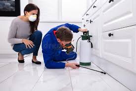 Best Real Estate Pest Inspections  in Clifton, NJ